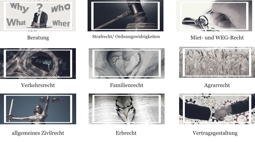 Verkehrsrecht Familienrecht Beratung Strafrecht/ Ordnungswidrigkeiten Miet- und WEG-Recht Agrarrecht Vertragsgestaltung Erbrecht allgemeines Zivilrecht
